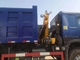 Howo Shacman 6 X 4 Dump Truck With 3.2 T Hydraulic Crane Hook